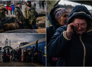 Cum se indreapta ajutorul umanitar din Germania in Ucraina