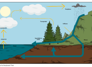 Ciclul apei: cum se realizeaza pas cu pas