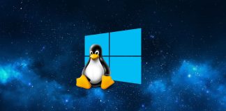 Linux pas cu pas: Instalati Ubuntu cu dual boot langa Windows 10