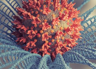 O noua varianta de Covid se raspandeste, Omicron BA.4.6.