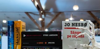 12 dintre cele mai bune 100 de romane ale anului 2022