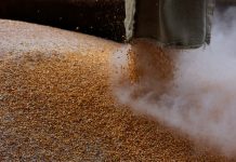 Ce inseamna retragerea Rusiei dintr-un acord cu Ucraina pentru foametea globala?