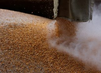 Ce inseamna retragerea Rusiei dintr-un acord cu Ucraina pentru foametea globala?