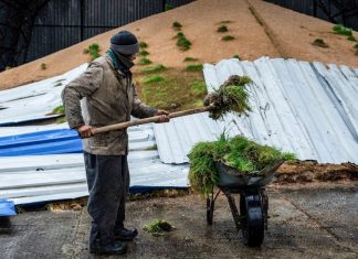 Zelenskyi acuza Rusia ca a creat „foamete artificiala” dupa ce a suspendat acordul crucial cu cereale