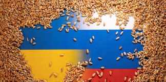Cate cereale au fost expediate din Ucraina?