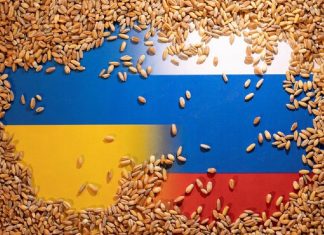 Cate cereale au fost expediate din Ucraina?