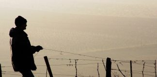 Vinificatorii francezi afectati dupa cea mai rea vreme din ultimii 30 de ani