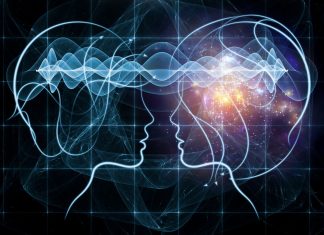 Inteligenta emotionala – Secretul succesului in leadership