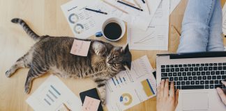 Cum sa fii productiv lucrand de acasa: 5 moduri