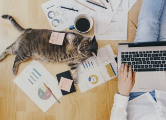 Cum sa fii productiv lucrand de acasa: 5 moduri