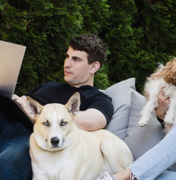 Boom-ul AI trage antreprenorii din tehnologie inapoi la San Francisco