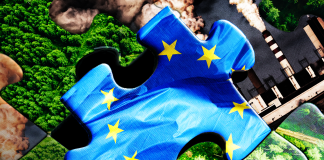Costul (adevărat) al unui viitor cu emisii scăzute de carbon