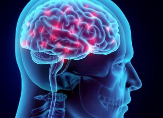 Discriminarea poate perturba modul in care creierul si intestinul vorbesc unul cu celalalt, crescand riscul de obezitate