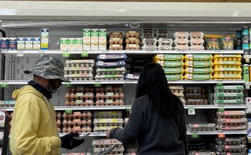 Inflatia a scazut, dar economistii sunt inca ingrijorati
