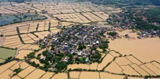 Inundatiile extreme si caldura din China distrug fermele si ucid animalele