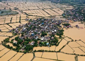 Inundatiile extreme si caldura din China distrug fermele si ucid animalele