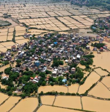 Inundatiile extreme si caldura din China distrug fermele si ucid animalele