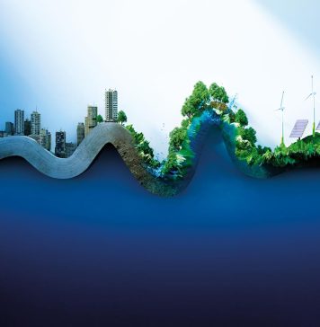 Protectionismul verde vine cu riscuri mari