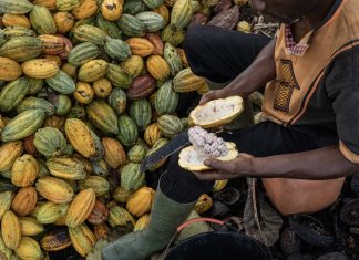 Unele preturi slabe ale marfurilor sunt in crestere
