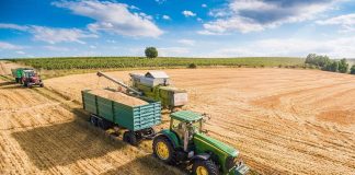 Vrei sa te apuci de agricultura? Iata ce trebuie sa stii