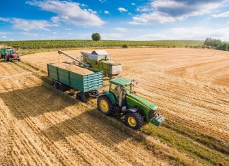 Vrei sa te apuci de agricultura? Iata ce trebuie sa stii