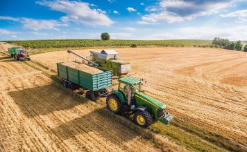 Vrei sa te apuci de agricultura? Iata ce trebuie sa stii