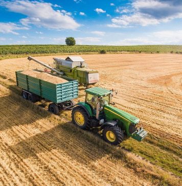 Vrei sa te apuci de agricultura? Iata ce trebuie sa stii