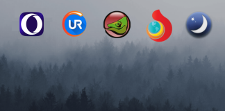 8 tipuri diferite de browsere web (si scopurile lor)