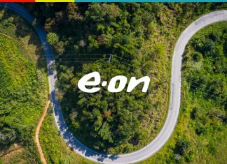 Servicii E.ON: Factura, Plata, Transmitere index si altele